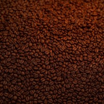 himalayan-red-roast-coffee-beans-organic-cafe-arabica-from-nepal